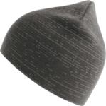 Shine Beanie