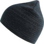 Shine Beanie