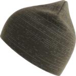 Shine Beanie