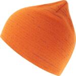Shine Beanie